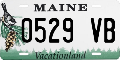 ME license plate 0529VB