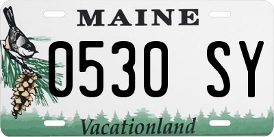 ME license plate 0530SY