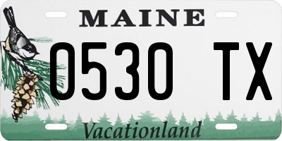 ME license plate 0530TX