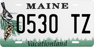 ME license plate 0530TZ