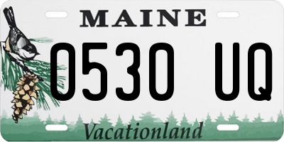ME license plate 0530UQ