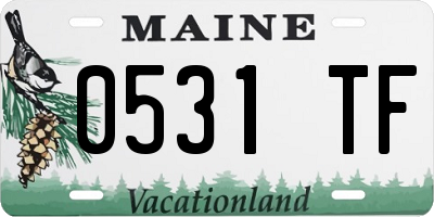 ME license plate 0531TF
