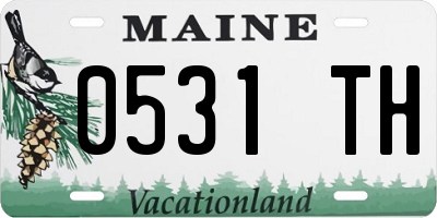 ME license plate 0531TH