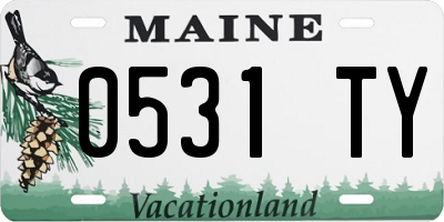ME license plate 0531TY
