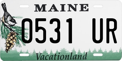 ME license plate 0531UR