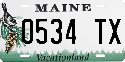 ME license plate 0534TX