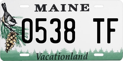 ME license plate 0538TF