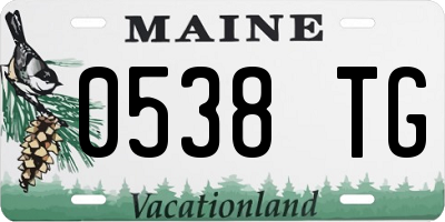 ME license plate 0538TG