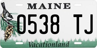 ME license plate 0538TJ