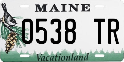 ME license plate 0538TR