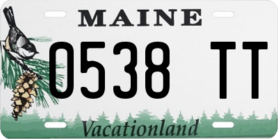 ME license plate 0538TT