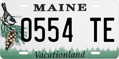ME license plate 0554TE