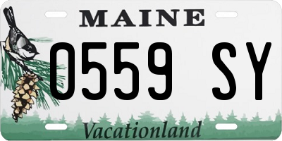 ME license plate 0559SY