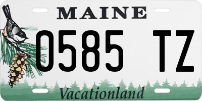 ME license plate 0585TZ