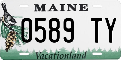 ME license plate 0589TY