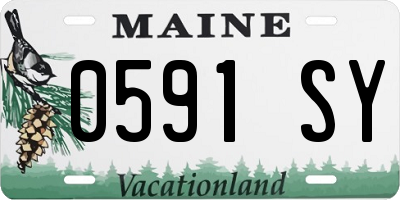 ME license plate 0591SY
