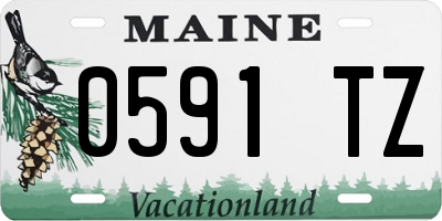 ME license plate 0591TZ