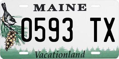 ME license plate 0593TX