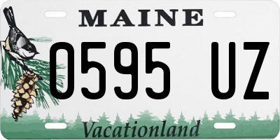 ME license plate 0595UZ