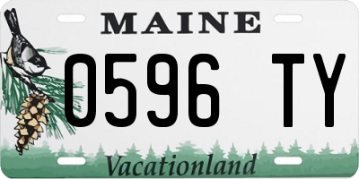 ME license plate 0596TY