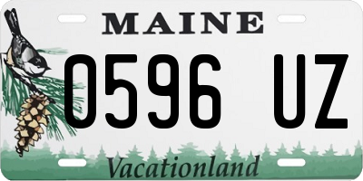 ME license plate 0596UZ