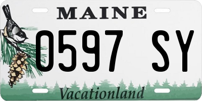 ME license plate 0597SY