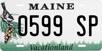 ME license plate 0599SP
