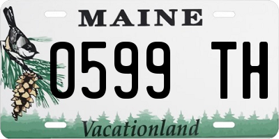 ME license plate 0599TH