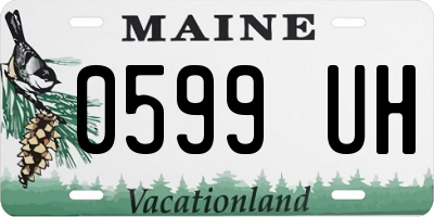 ME license plate 0599UH