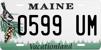 ME license plate 0599UM