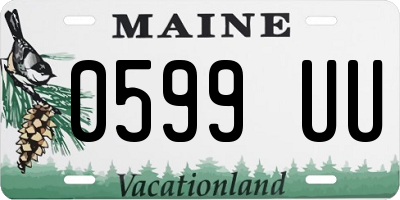 ME license plate 0599UU