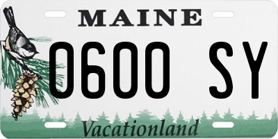 ME license plate 0600SY