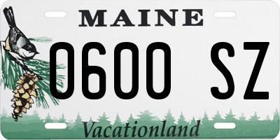 ME license plate 0600SZ