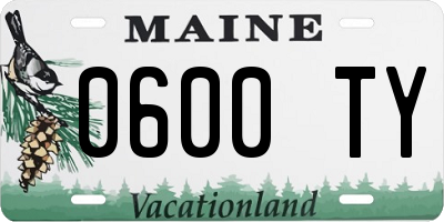 ME license plate 0600TY