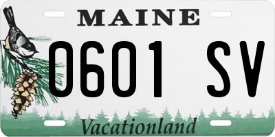 ME license plate 0601SV