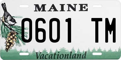 ME license plate 0601TM