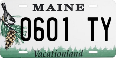 ME license plate 0601TY