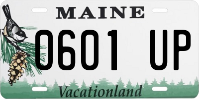 ME license plate 0601UP