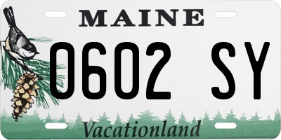 ME license plate 0602SY