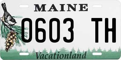 ME license plate 0603TH