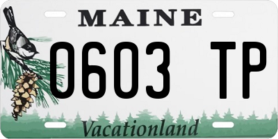 ME license plate 0603TP