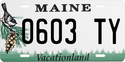 ME license plate 0603TY