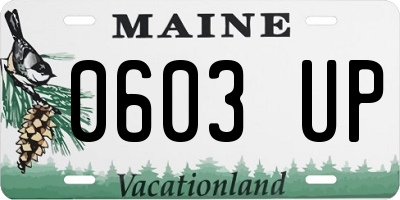 ME license plate 0603UP