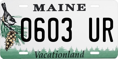 ME license plate 0603UR