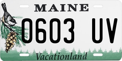 ME license plate 0603UV