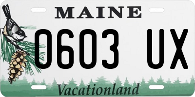 ME license plate 0603UX