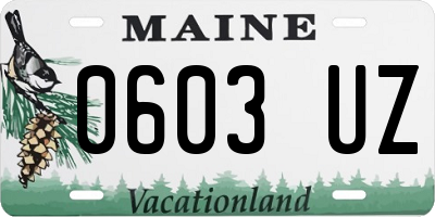 ME license plate 0603UZ