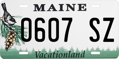 ME license plate 0607SZ