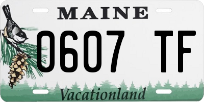 ME license plate 0607TF