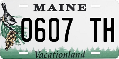 ME license plate 0607TH